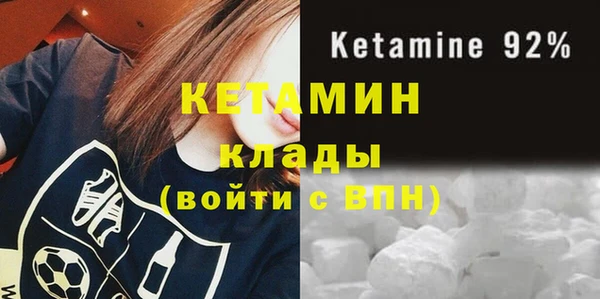 прущие грибы Инсар