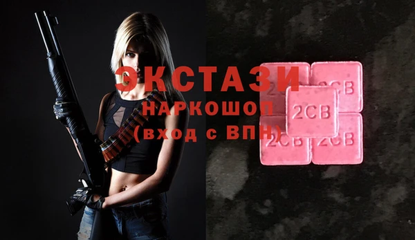 шишки Инта