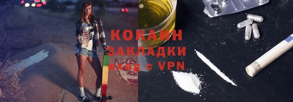шишки Инта