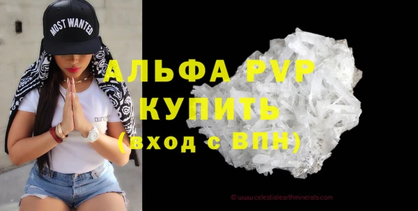 прущие грибы Инсар