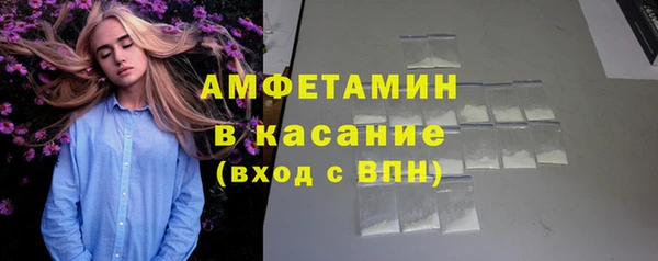 прущие грибы Инсар