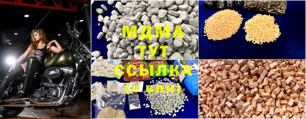 прущие грибы Инсар