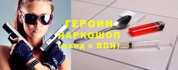шишки Инта