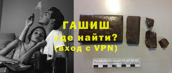 шишки Инта