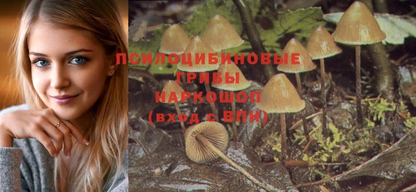стаф Нея