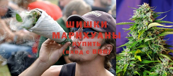шишки Инта