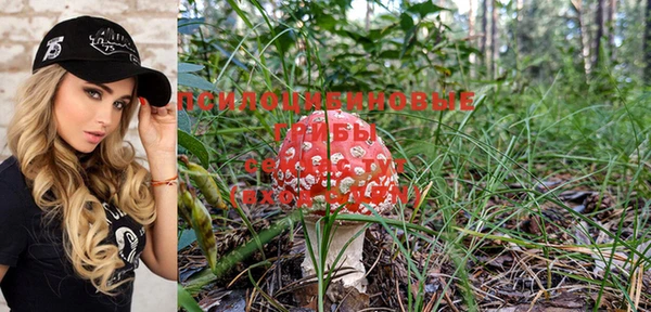 MDMA Premium VHQ Иннополис