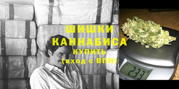 шишки Инта