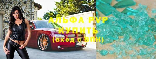 шишки Инта