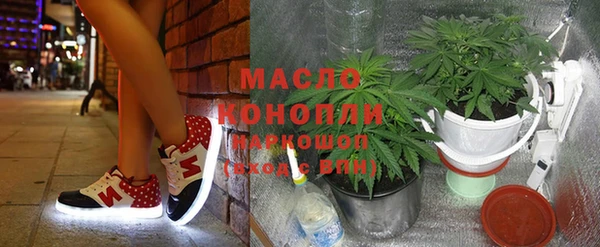шишки Инта
