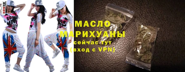шишки Инта