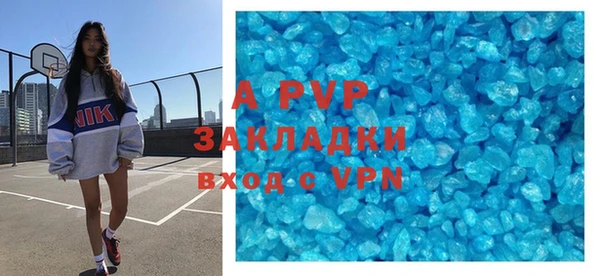прущие грибы Инсар