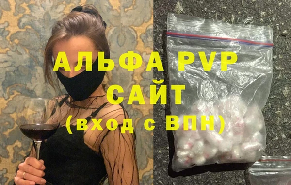 шишки Инта