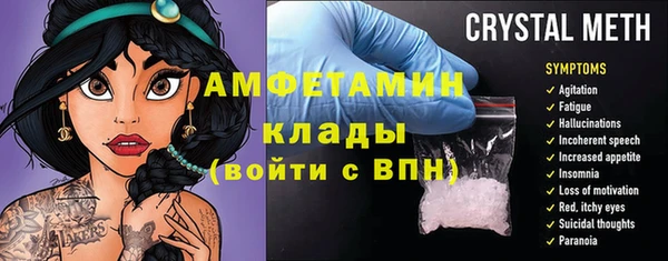 прущие грибы Инсар