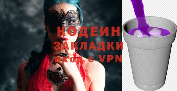 шишки Инта