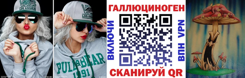 Купить закладки  Билибино  Псилоцибиновые грибы GOLDEN TEACHER 